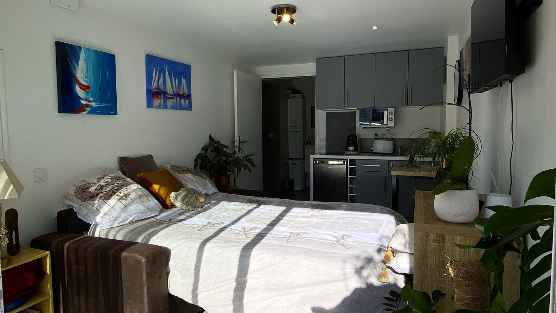 Studio Clair, Climatise Avec Jardin Et Parking Perpignan Exterior photo
